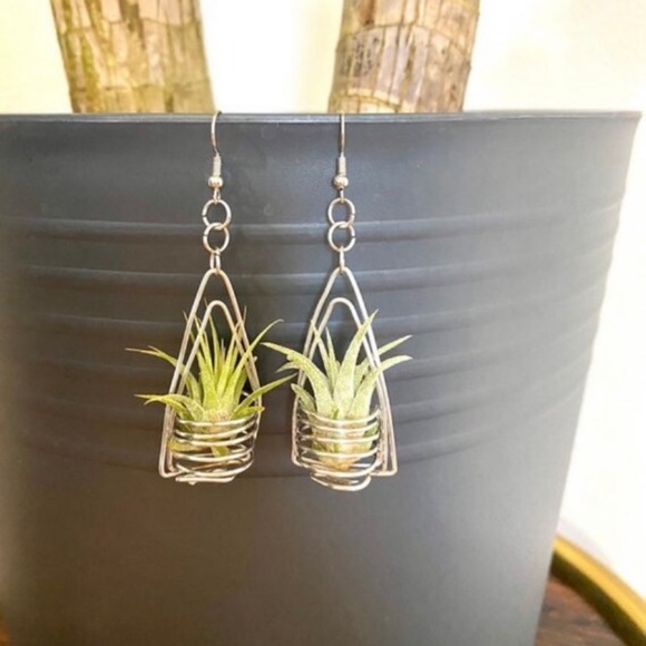 Silver double triangle air plant earrings - Picture 2 of 4